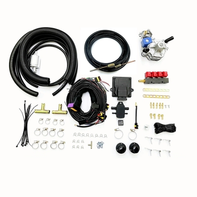 Otomotiv için CNG LPG Dönüşüm Kitlerine Çok Noktalı Enjeksiyon Benzin