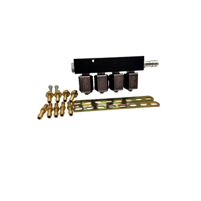 4 Silindirli Otomotiv GPL GNV Dönüşüm Kiti için 3 Ohm LN-LIG1S LPG CNG Ray Enjektörü