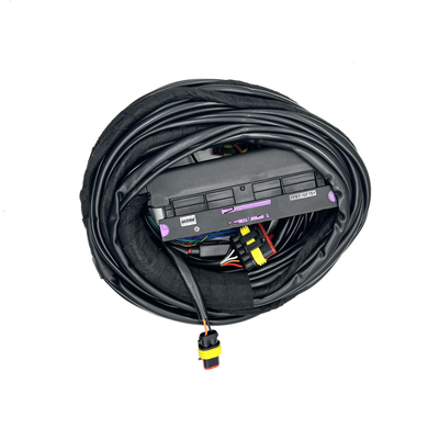 Otomobil Otomobil Kablolama Bağlantısı Optimal 12V Performansı için Çoklu Bağlantı Tipi