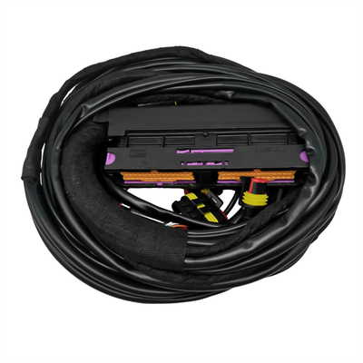 Otomobil Otomobil Kablolama Bağlantısı Optimal 12V Performansı için Çoklu Bağlantı Tipi