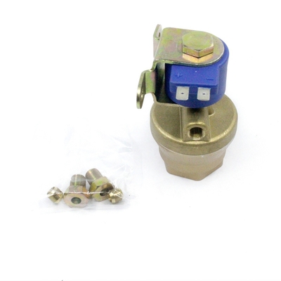 Düz Gaz Kanallı Solenoid Valf Entegre LPG CNG Filtre Bronz