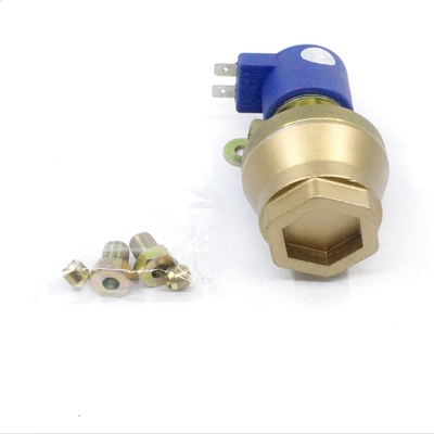 Düz Gaz Kanallı Solenoid Valf Entegre LPG CNG Filtre Bronz
