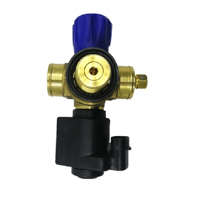 Oto Gaz Yakıt Sistemi için Solenoid CNG Silindir Vana Araba Gaz Vanası DC12V