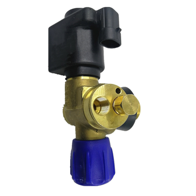 Oto Gaz Yakıt Sistemi için Solenoid CNG Silindir Vana Araba Gaz Vanası DC12V