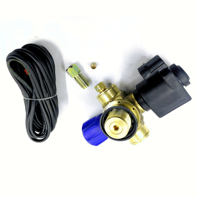 Oto Gaz Yakıt Sistemi için Solenoid CNG Silindir Vana Araba Gaz Vanası DC12V