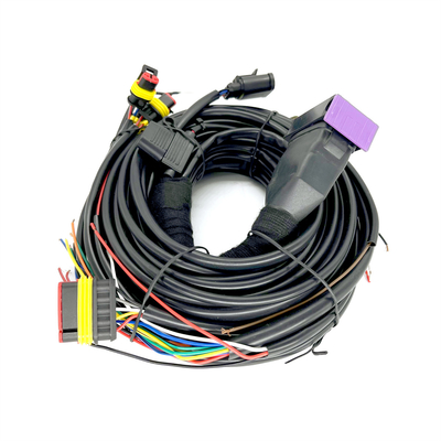 4 Silindir ECU için CNG LPG Sıralı Enjeksiyon 24 Pinli Araba Kablo Demeti
