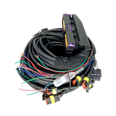 6 Silindir ECU için Çok Noktalı CNG LPG Otomotiv Kablo Demeti 56 Pin