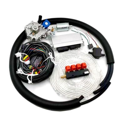 Good price ECU LPG Sıralı Enjeksiyon Kiti Elektronik Yakıt Enjeksiyon Dönüşüm Kitleri ISO9001 çevrimiçi